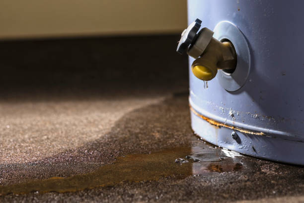 Best Professional water damage repair  in Crete, NE