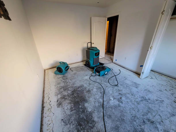 Best Basement water damage restoration  in Crete, NE