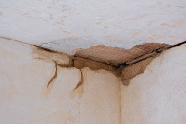 Best Local water damage restoration  in Crete, NE