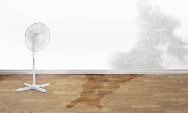 Best Ceiling water damage repair  in Crete, NE