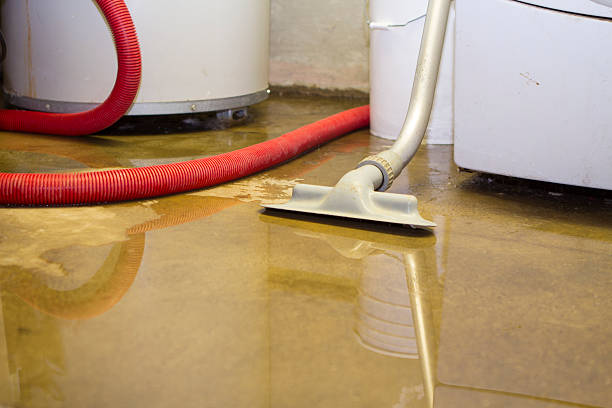 Best Carpet water damage restoration  in Crete, NE
