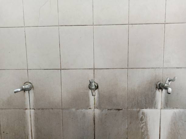  Crete, NE Water damage restoration Pros
