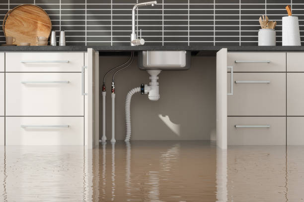 Best Sewage cleanup and water damage restoration  in Crete, NE
